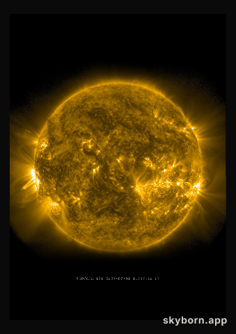 The Sun on 31 July 2024