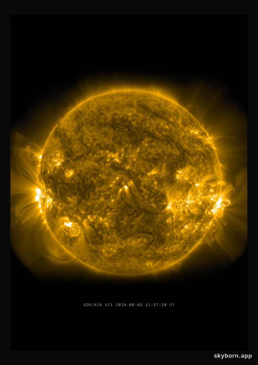 The Sun on 1 August 2024