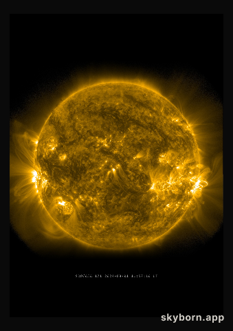 The Sun on 1 August 2024
