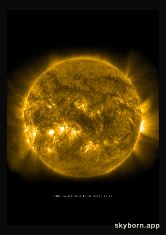 The Sun on 5 August 2024