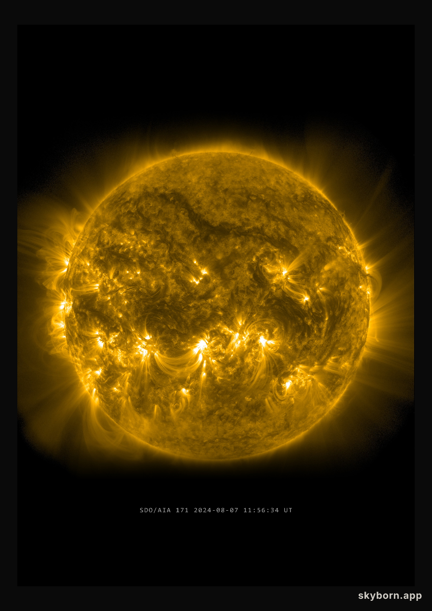 The Sun on 7 August 2024
