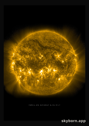 The Sun on 7 August 2024