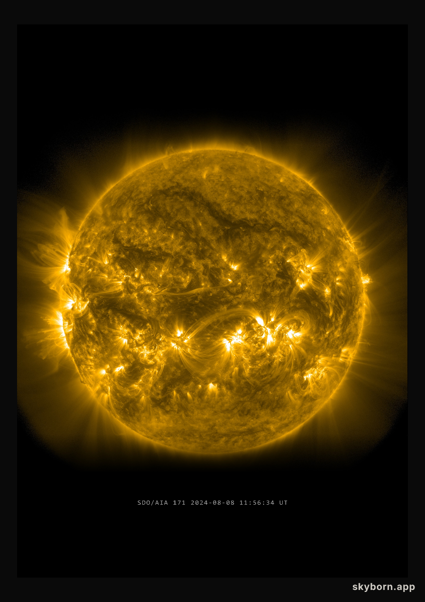 The Sun on 8 August 2024
