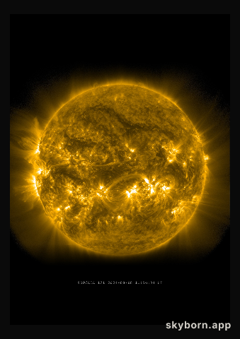 The Sun on 8 August 2024
