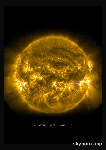 The Sun on 11 August 2024