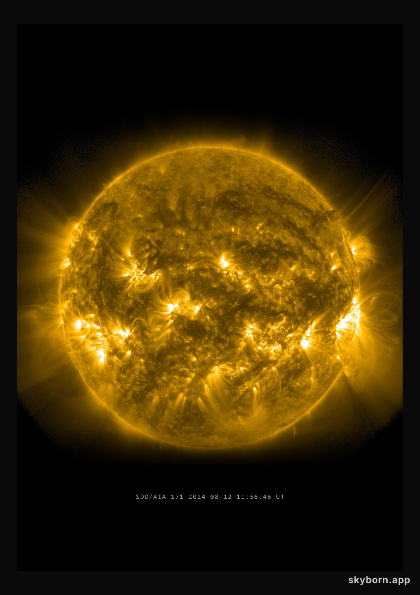 The Sun on 12 August 2024