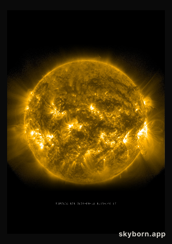 The Sun on 12 August 2024