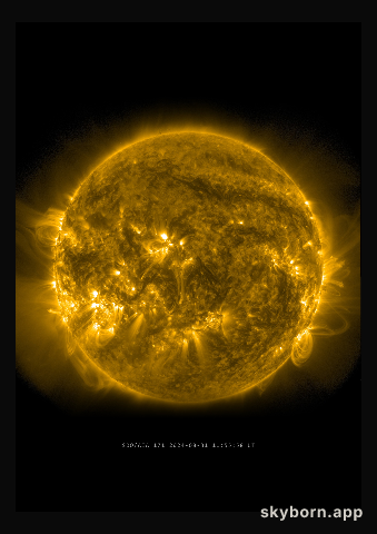 The Sun on 31 August 2024