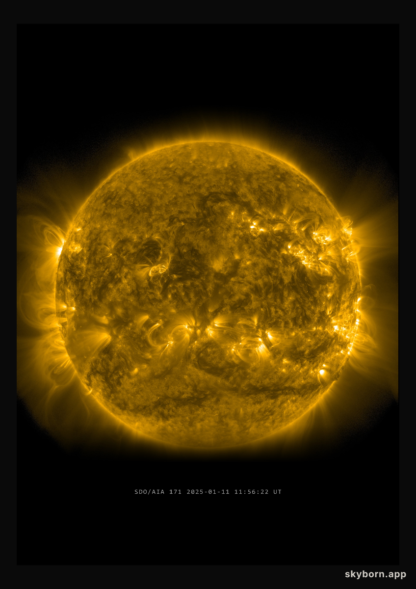 The Sun on 11 January 2025