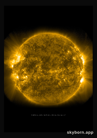 The Sun on 29 January 2025