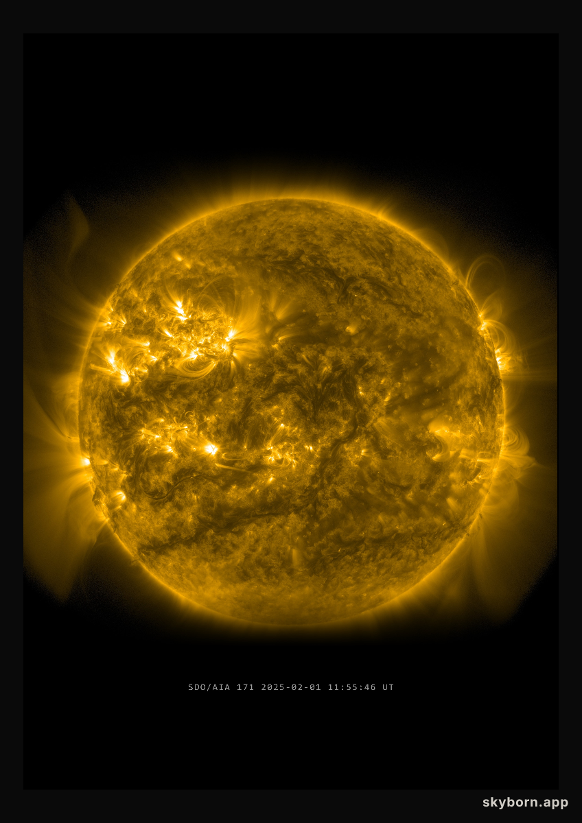The Sun on 1 February 2025