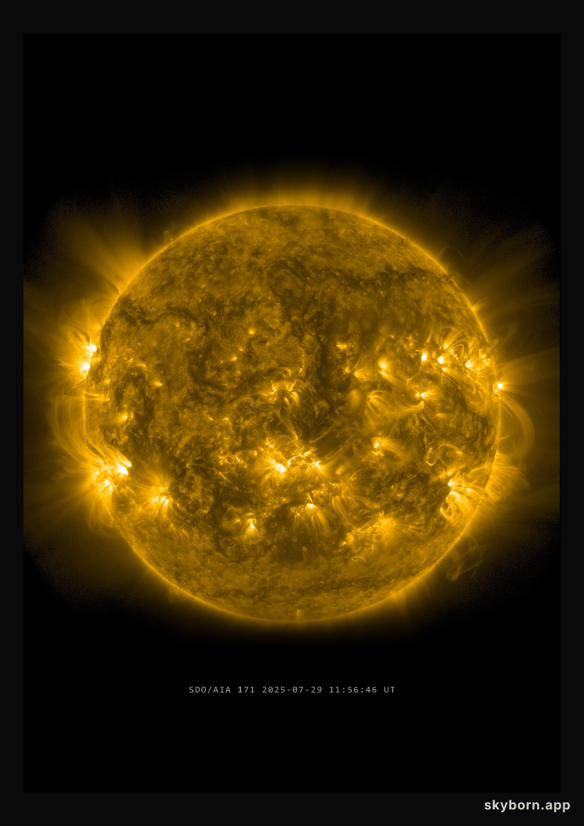 The Sun on 29 July 2025