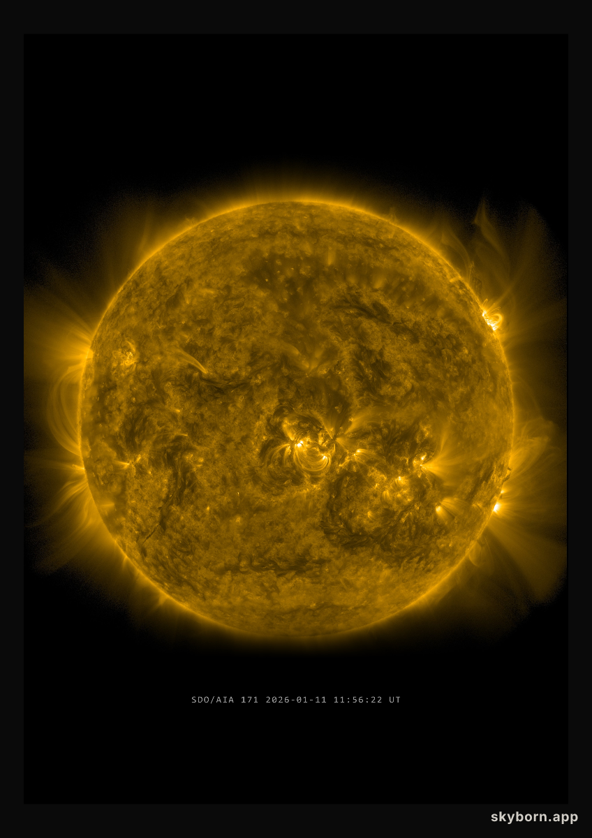 The Sun on 11 January 2026