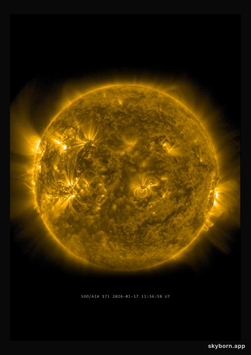 The Sun on 17 January 2026