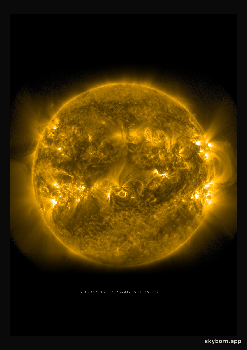 The Sun on 25 January 2026