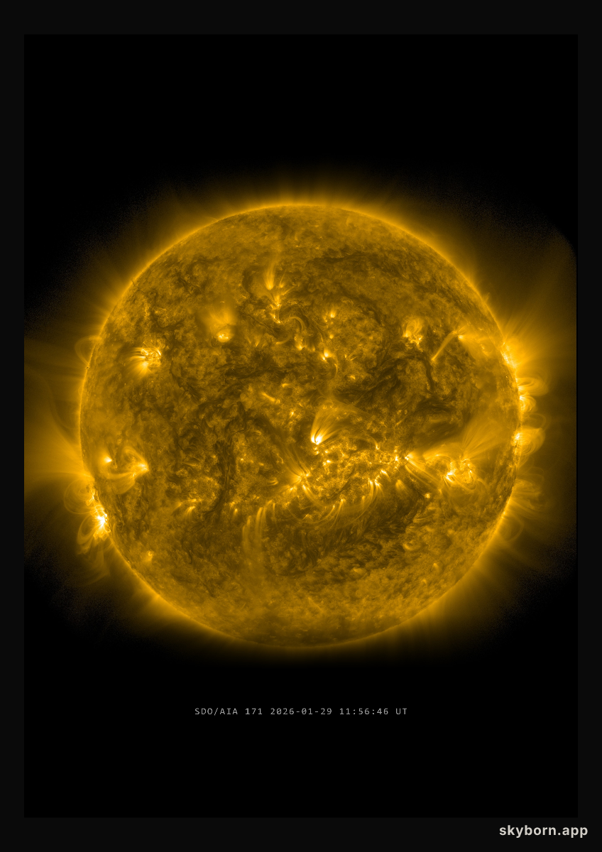 The Sun on 29 January 2026