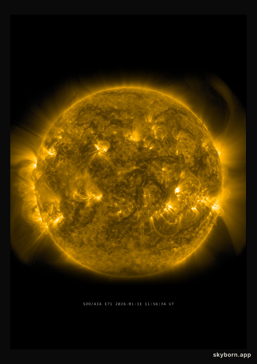 The Sun on 31 January 2026