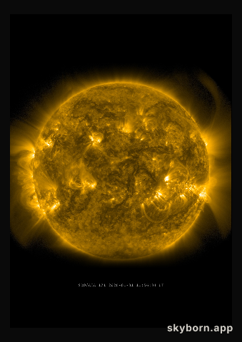 The Sun on 31 January 2026
