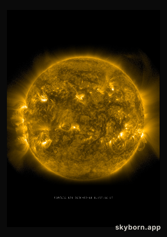 The Sun on 1 February 2026