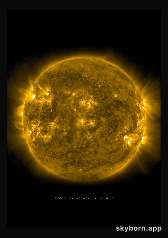 The Sun on 12 February 2026