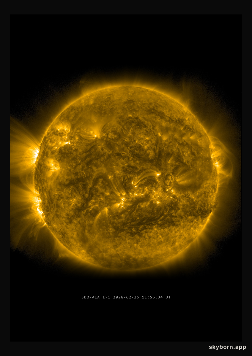 The Sun on 25 February 2026