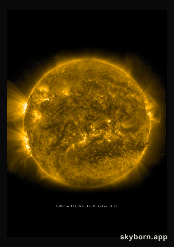 The Sun on 25 February 2026