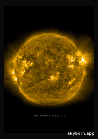 The Sun on 11 June 2026