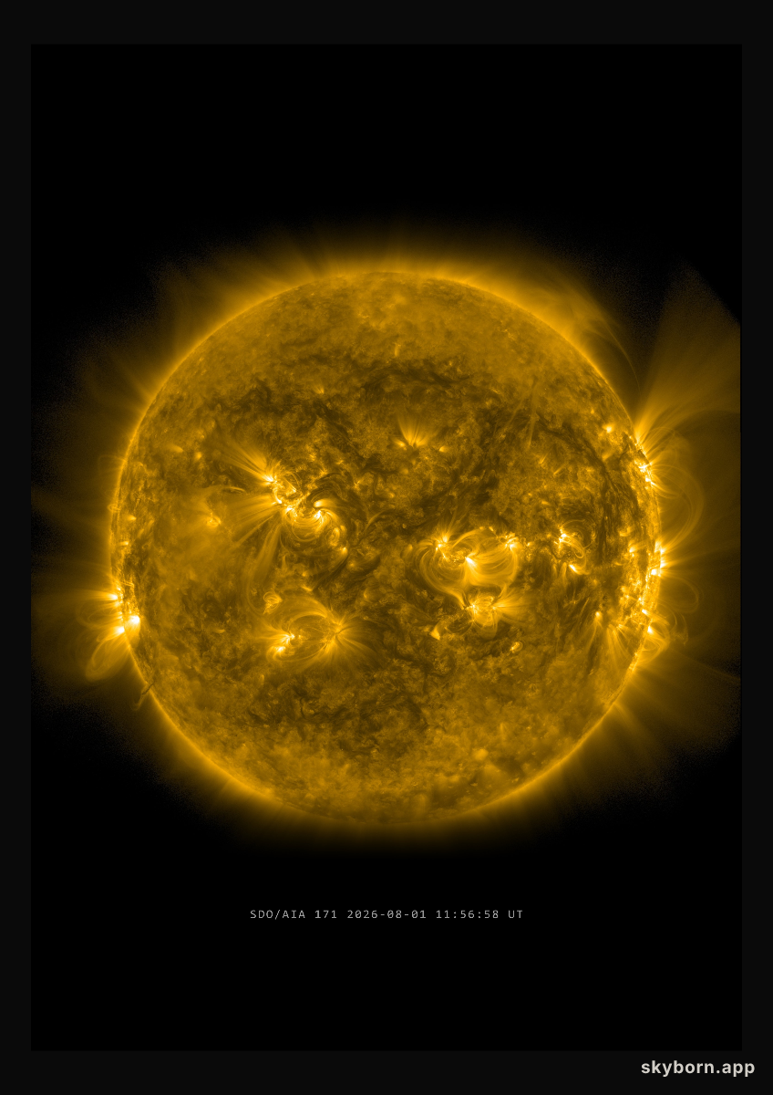 The Sun on 1 August 2026