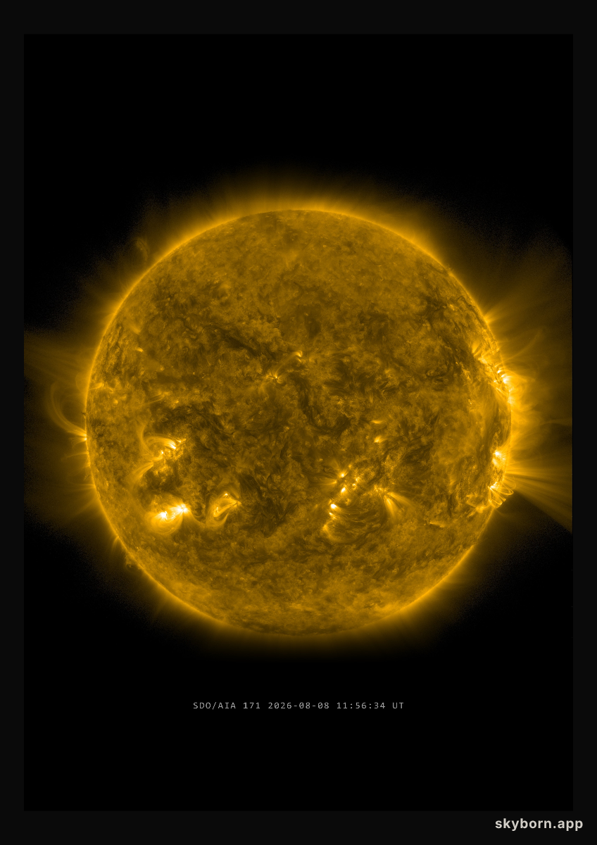 The Sun on 8 August 2026