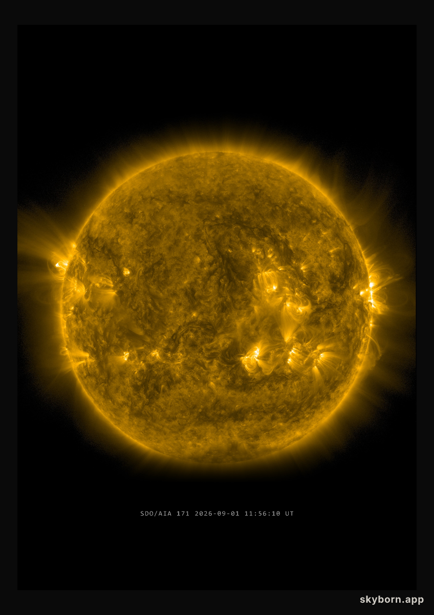 The Sun on 1 September 2026