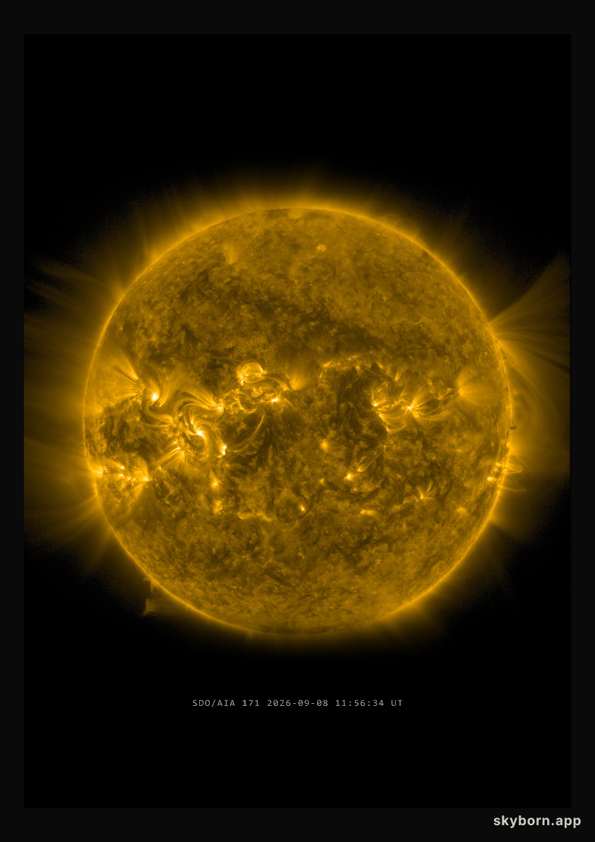 The Sun on 8 September 2026